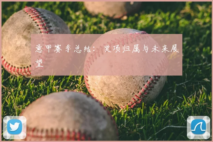 意甲赛季总结：奖项归属与未来展望